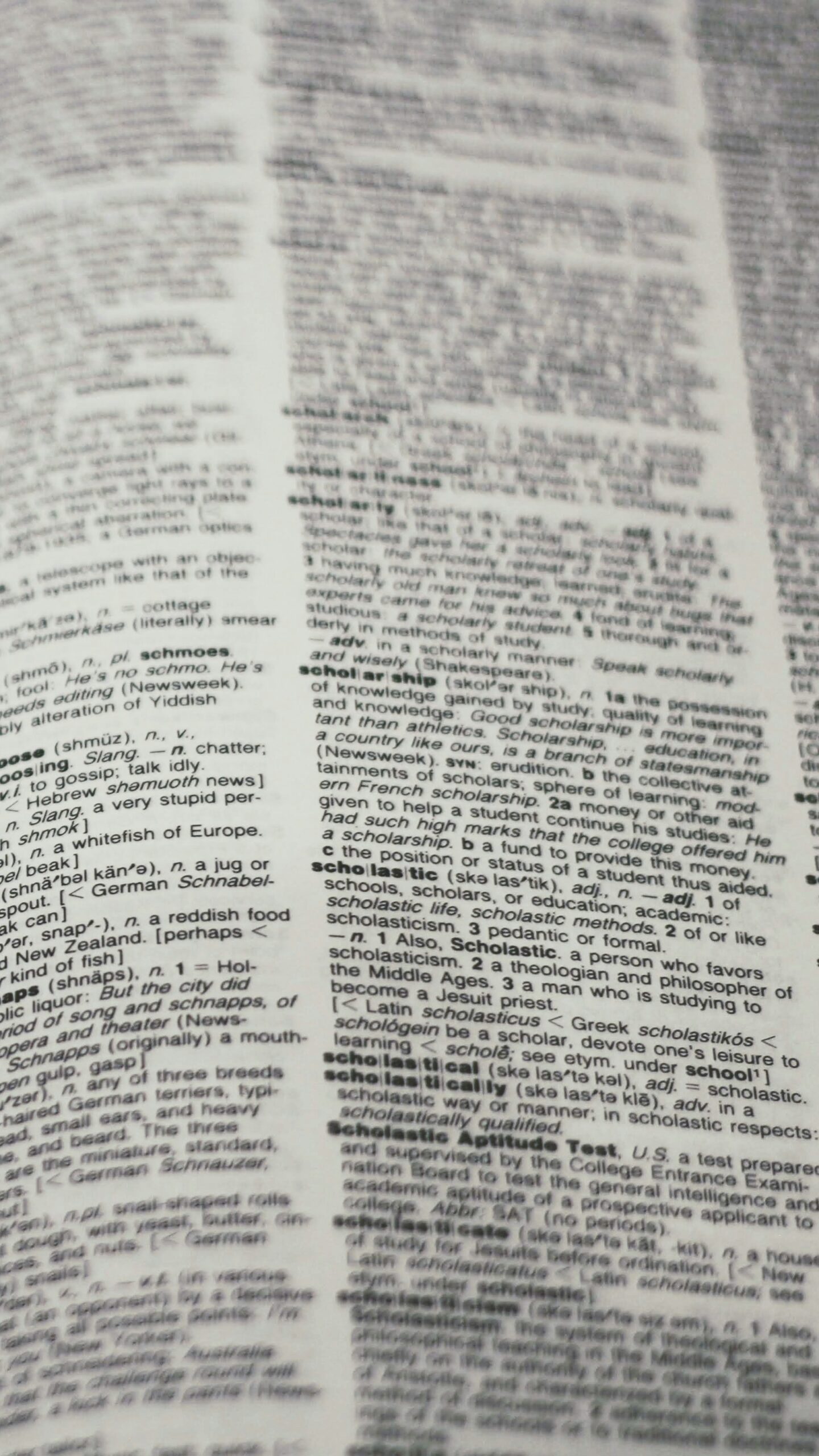 La RAE cierra el 2025 con nuevas palabras oficiales